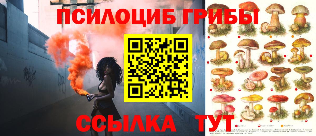 Псилоцибиновые грибы Magic Shrooms Усть-Кут