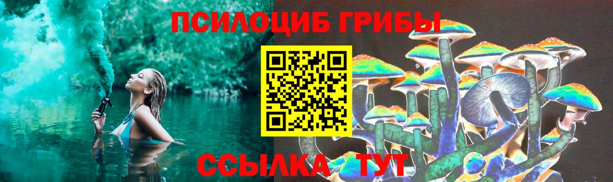 Галлюциногенные грибы Psilocybe  Галлюциногенные грибы MAGIC MUSHROOMS  Вход с VPN  наркота  Усть-Кут 